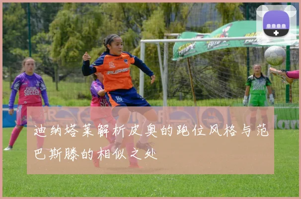 迪纳塔莱解析皮奥的跑位风格与范巴斯滕的相似之处