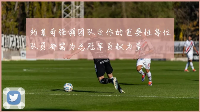 约基奇强调团队合作的重要性每位队员都需为总冠军贡献力量
